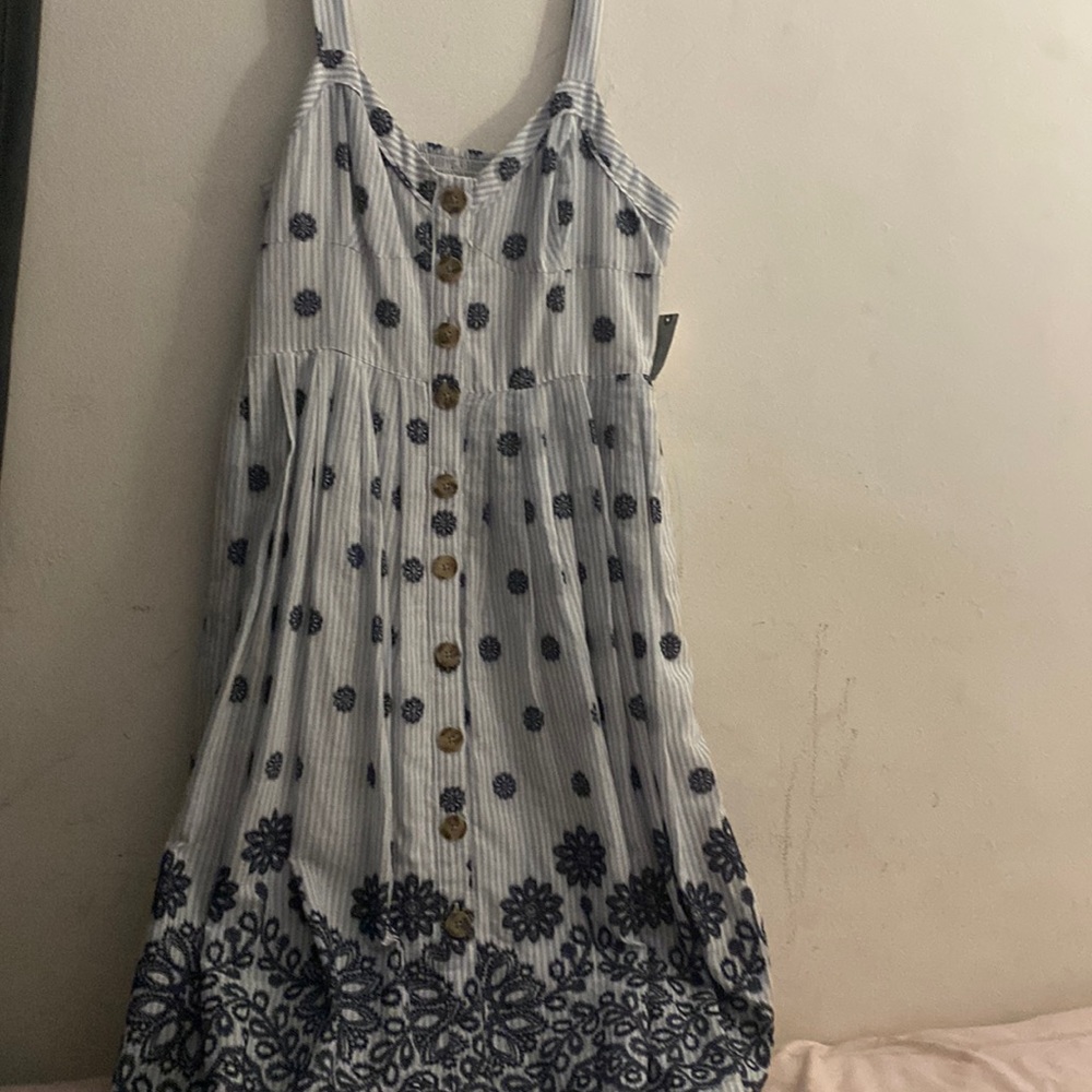 NWT Anthropologie Floral Print blue striped dress